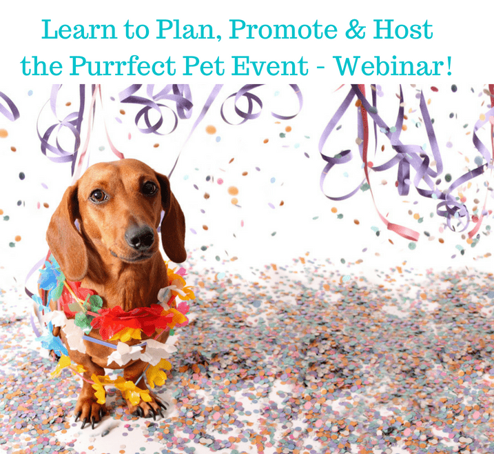 Learn to Plan, Promote & Host the Purrfect Pet Event - Webinar!