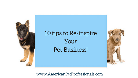 10 tips to re-inspire your pet business