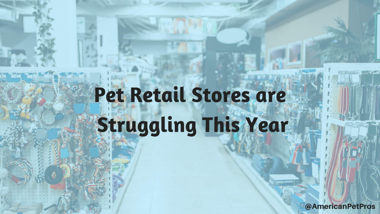 Pet retail stores are struggling this year. American Pet Professionals