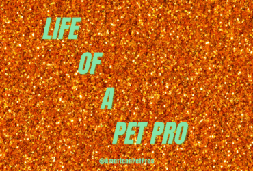Life of a Pet Pro…Taylor Swift Inspired