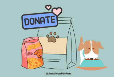How to Host a Pet Food Donation Drive