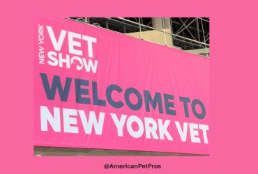 Canine Cancer, Fresh Food, and Insights from New York Vet